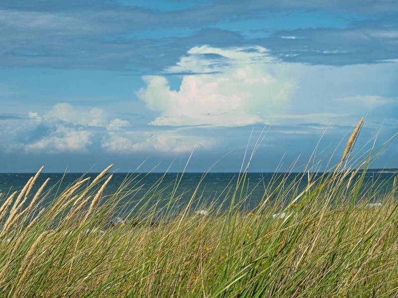 Strandurlaub Last Minute Callantsoog LekkerNaarZee